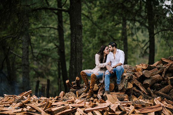 fotos en el bosque