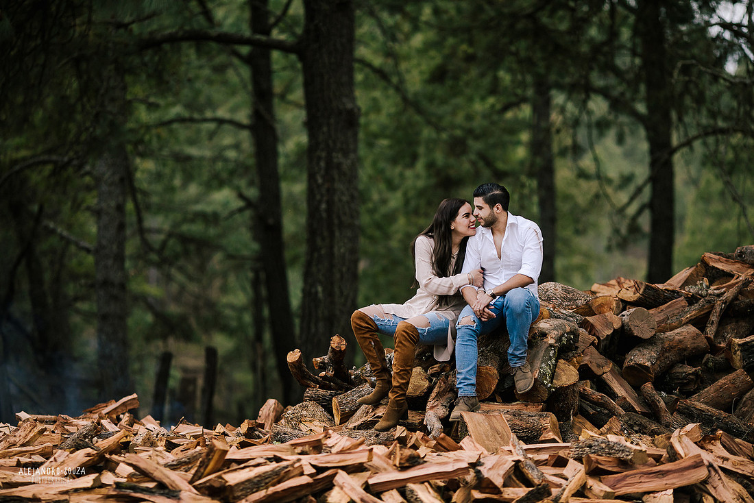 fotos en el bosque
