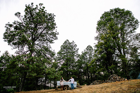 fotos en el bosque