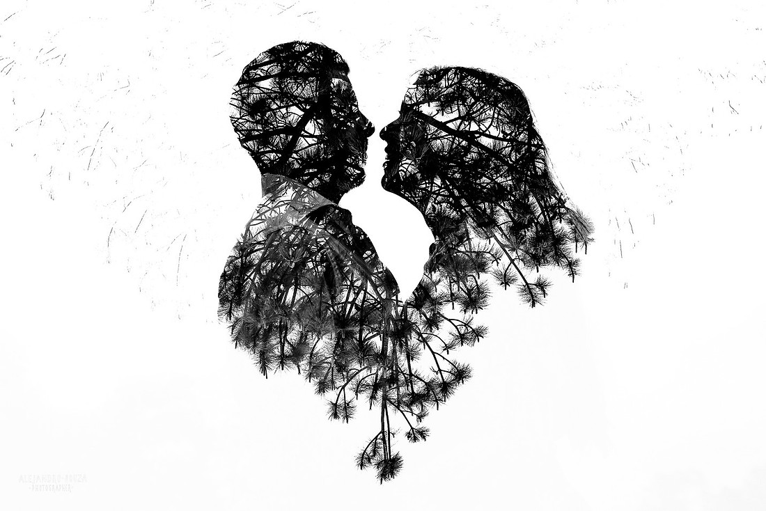 fotos en el bosque