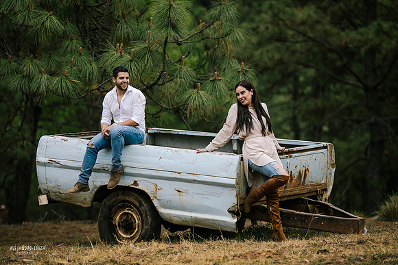 fotos en el bosque