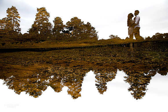 fotos en el bosque