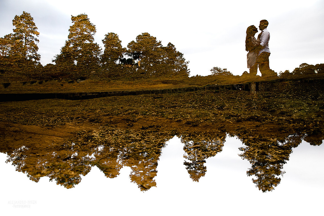 fotos en el bosque