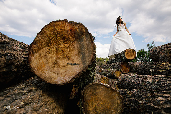 trash the dress