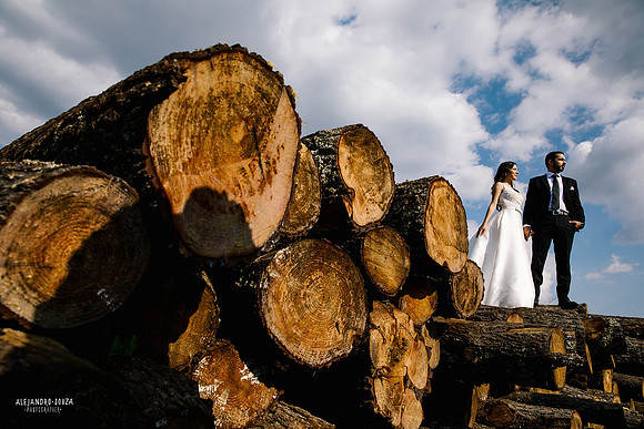 trash the dress