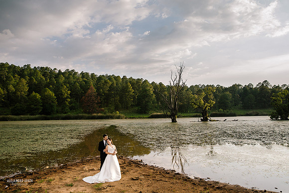 trash the dress
