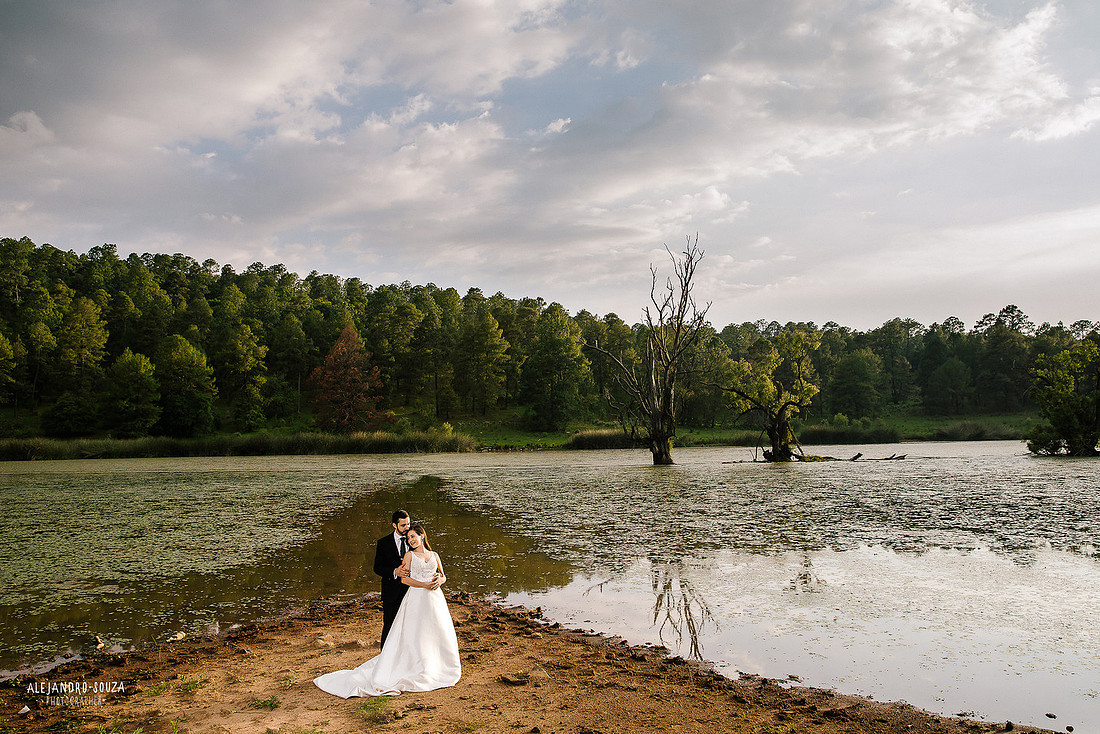 trash the dress