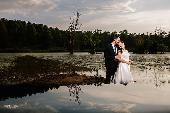 trash the dress