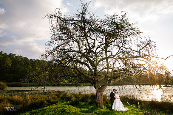 trash the dress
