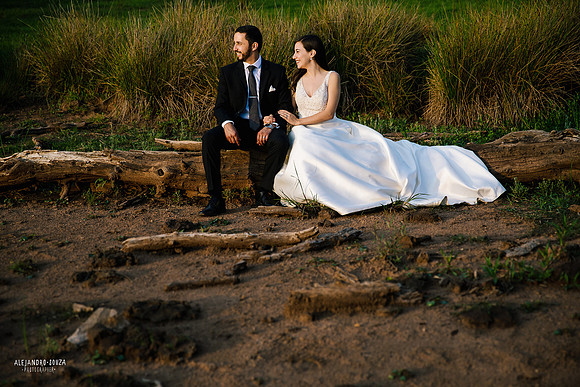 trash the dress