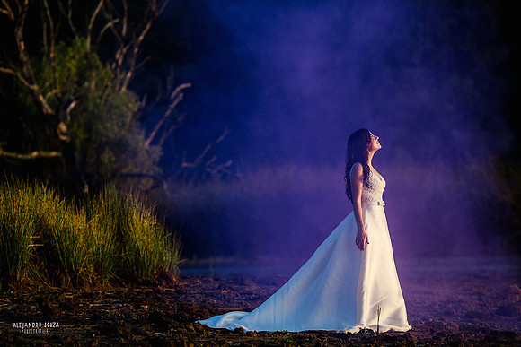 trash the dress