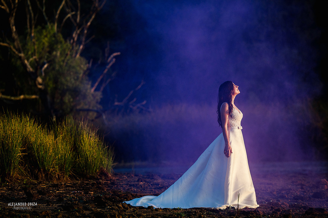 trash the dress