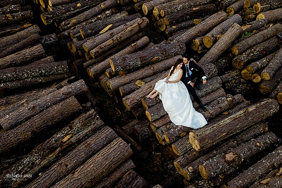 trash the dress
