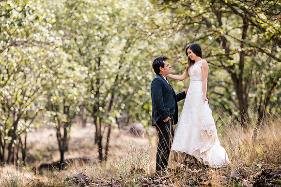 trash the dress