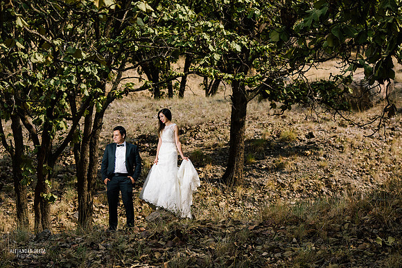 trash the dress