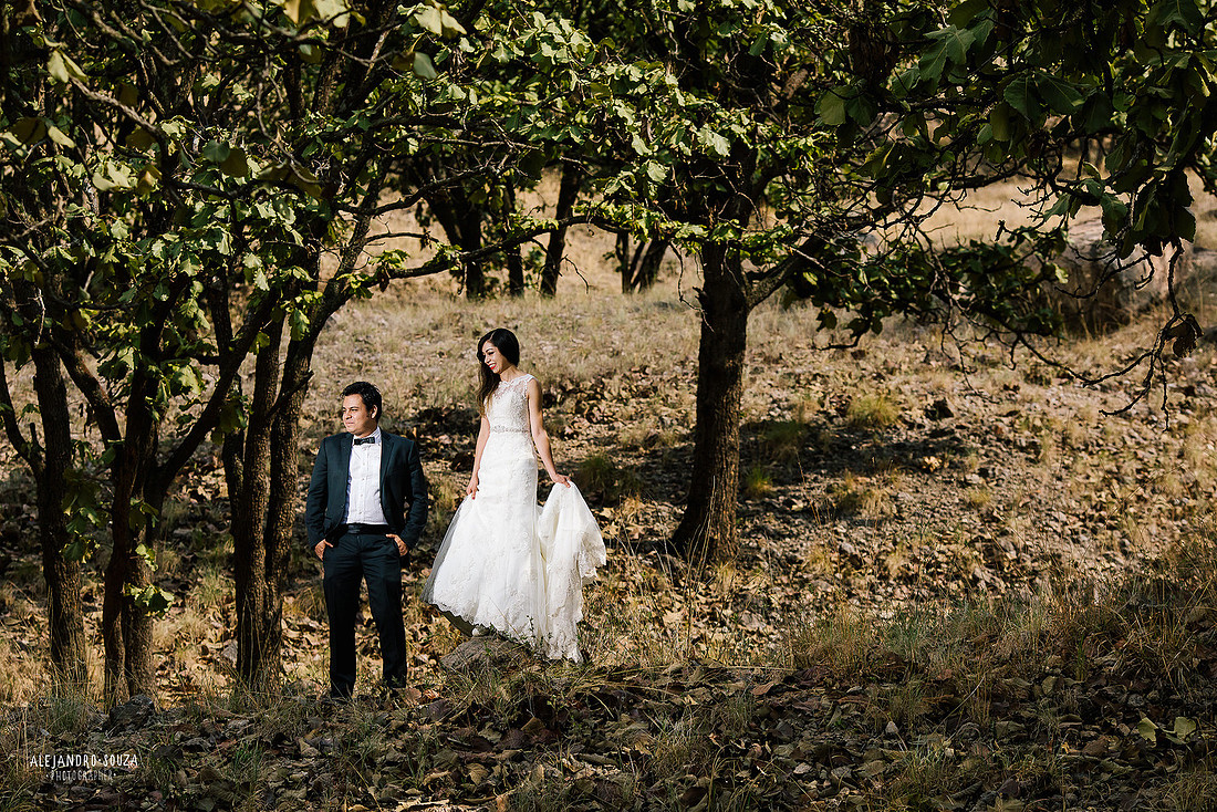 trash the dress