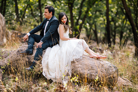 trash the dress