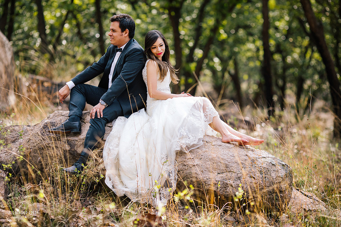 trash the dress