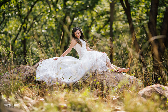 trash the dress