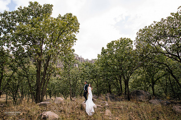 trash the dress