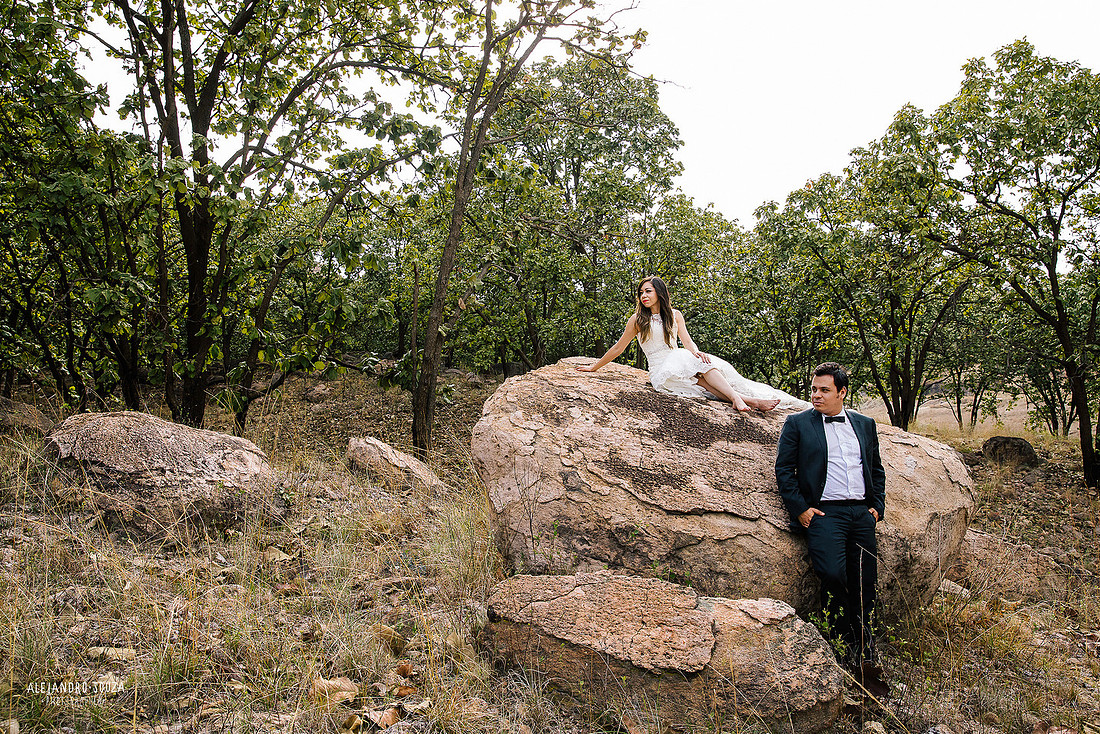 trash the dress