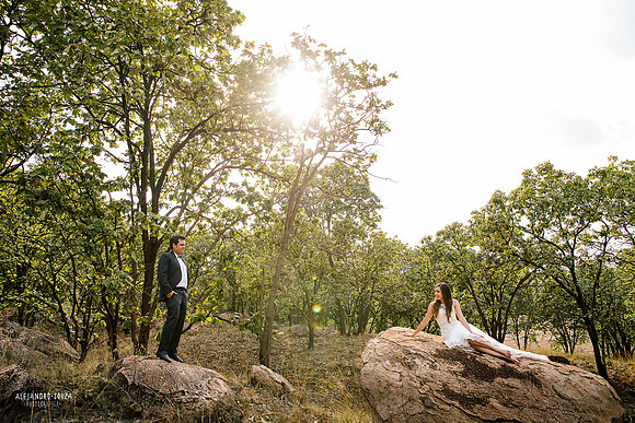 trash the dress