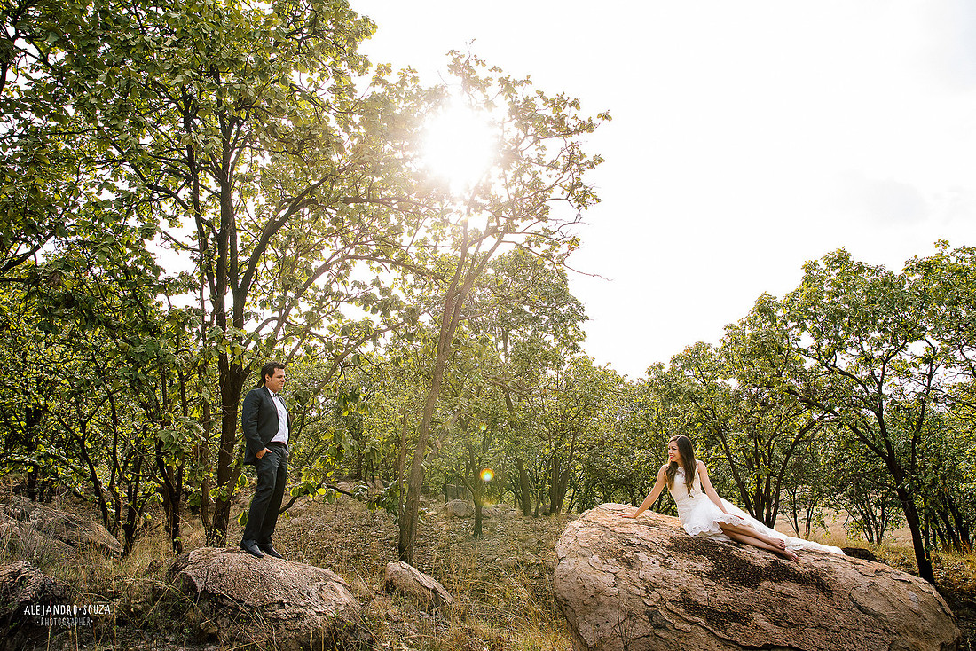 trash the dress