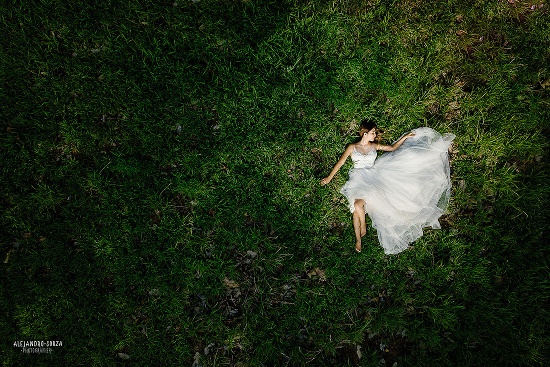 trash the dress