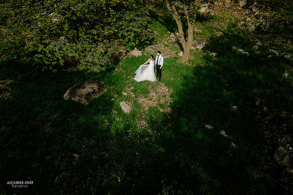 trash the dress