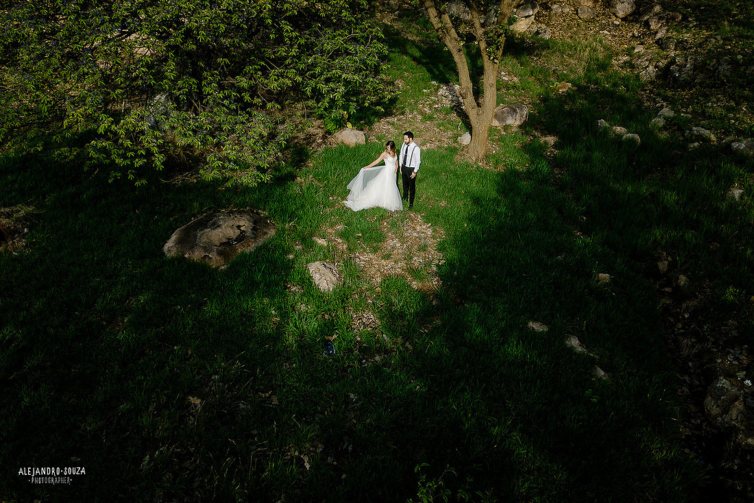 trash the dress