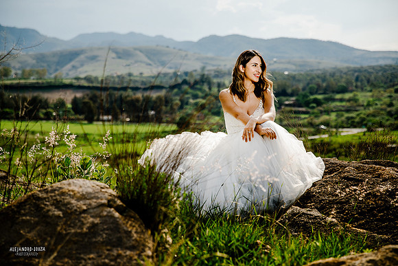 trash the dress