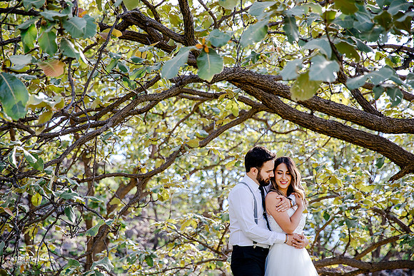 trash the dress