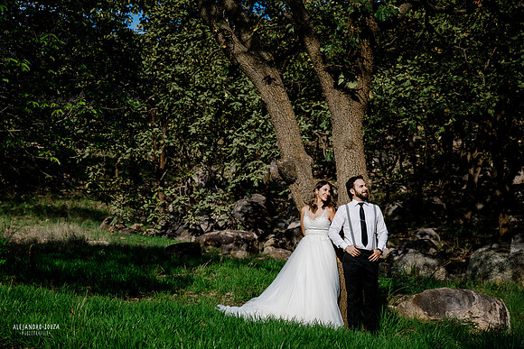 trash the dress