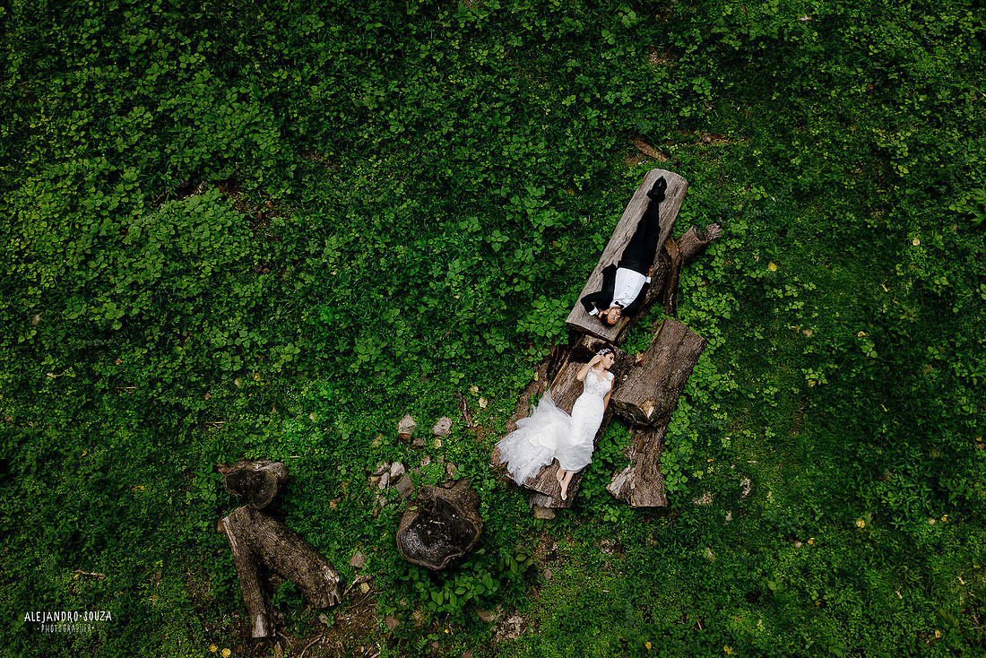 trash the dress