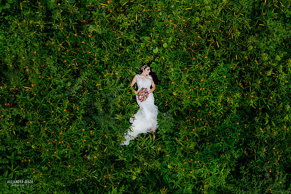 trash the dress