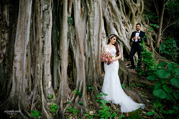 trash the dress