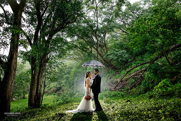 trash the dress