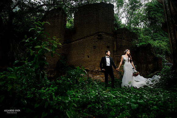 trash the dress