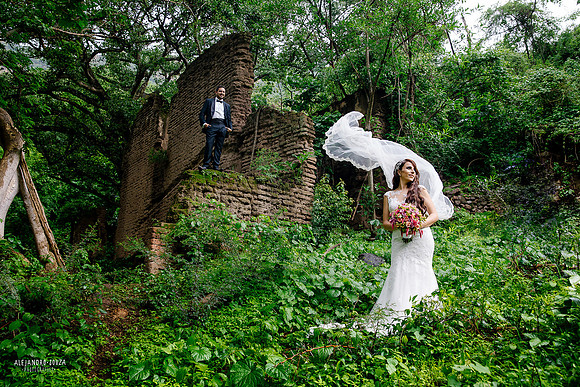 trash the dress