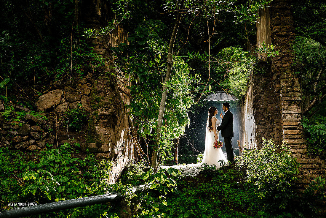 trash the dress