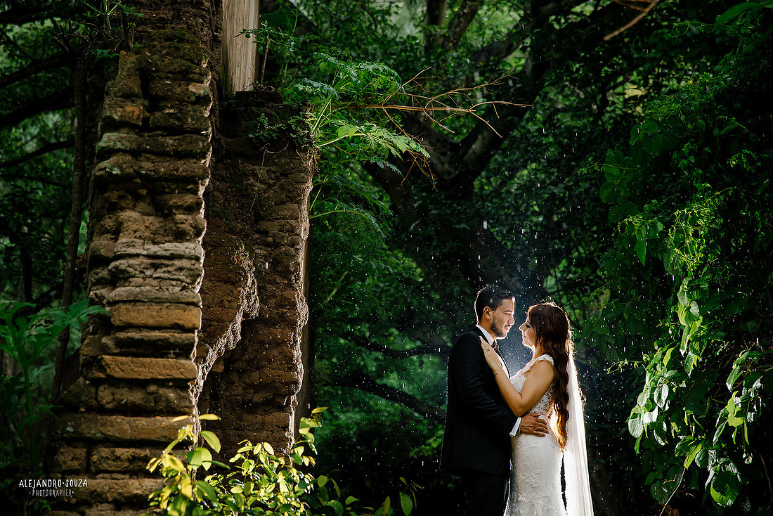 trash the dress