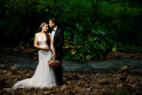 trash the dress