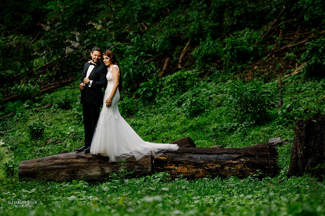 trash the dress