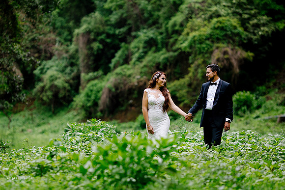 trash the dress