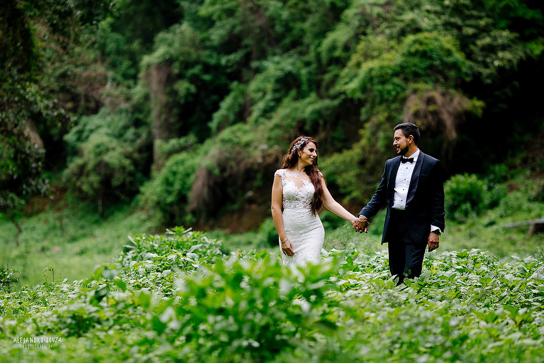 trash the dress
