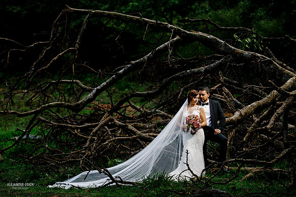 trash the dress