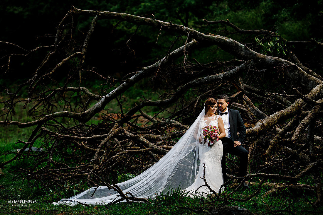 trash the dress
