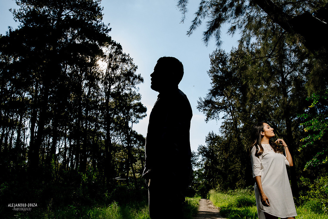 fotos en bosque los colomos