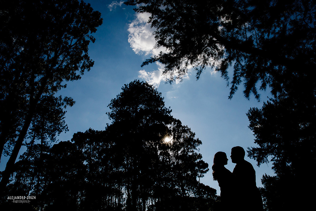 fotos en bosque los colomos