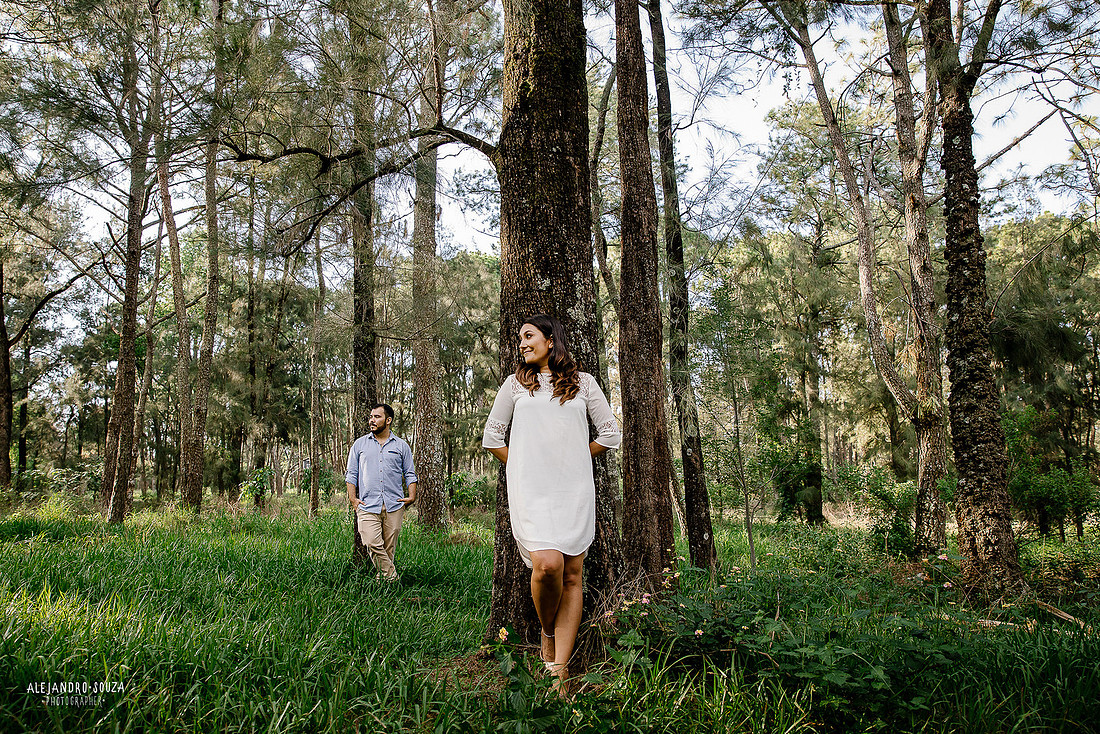 fotos en bosque los colomos